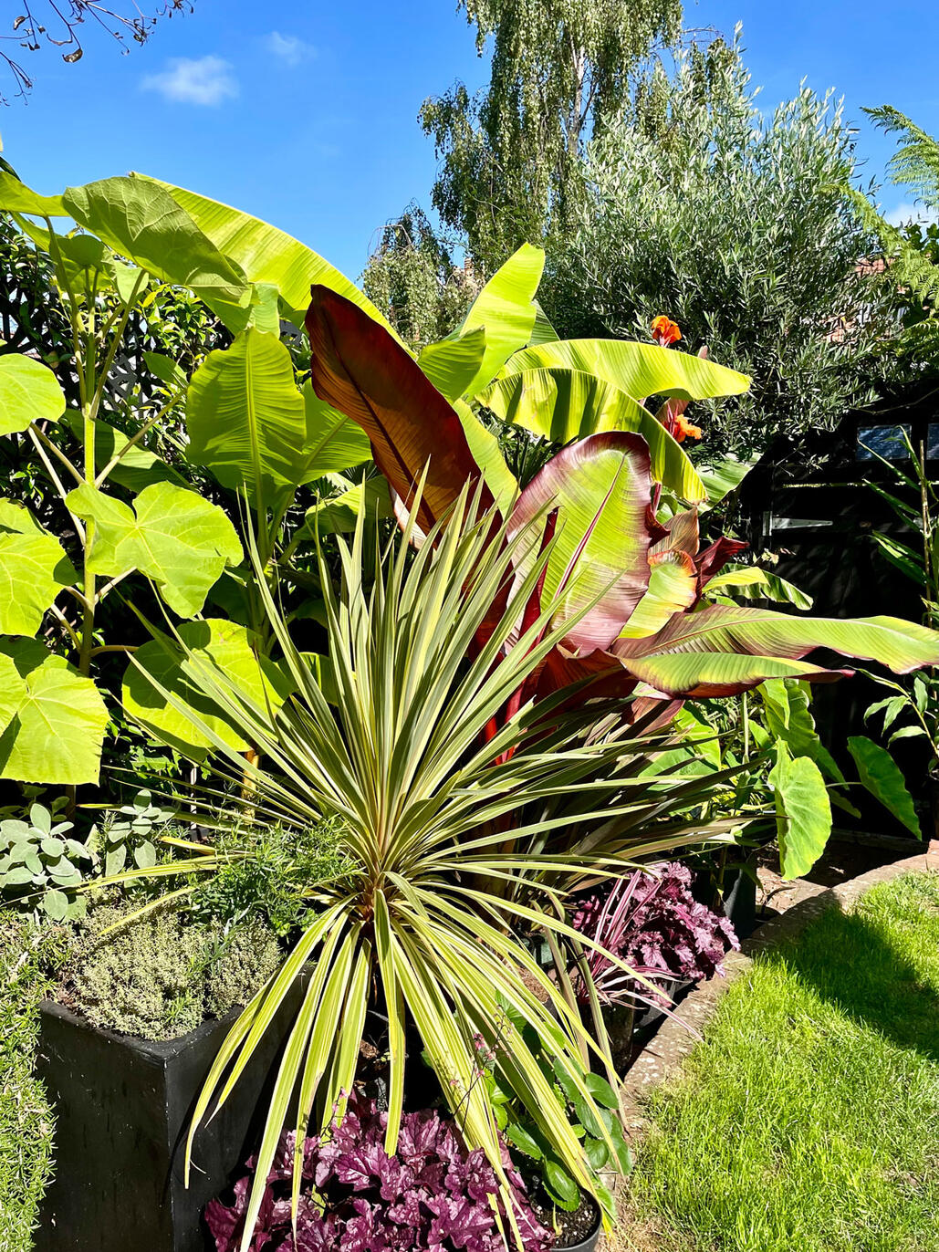 SE Facing (September)