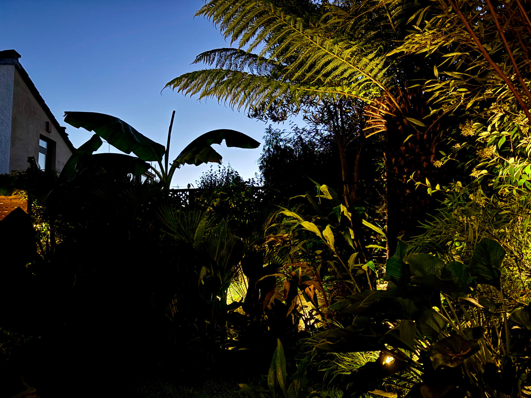 Evening Evening